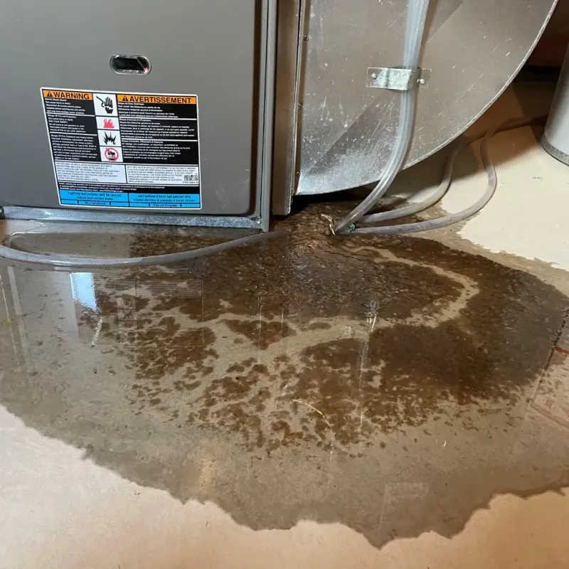 Appliance Leak Cleanup in Barbourville, KY